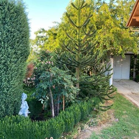 Apartma Jozica In Toncek Sveti Jurij ob Scavnici Εξωτερικό φωτογραφία