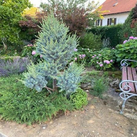 Apartma Jozica In Toncek Sveti Jurij ob Scavnici Εξωτερικό φωτογραφία