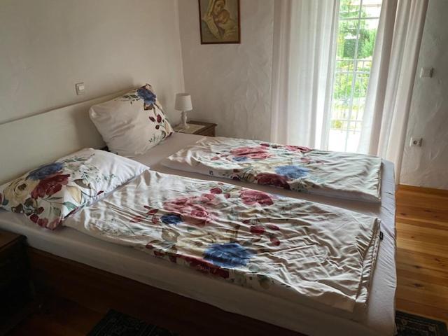 Apartma Jozica In Toncek Sveti Jurij ob Scavnici Εξωτερικό φωτογραφία