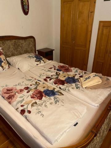 Apartma Jozica In Toncek Sveti Jurij ob Scavnici Εξωτερικό φωτογραφία