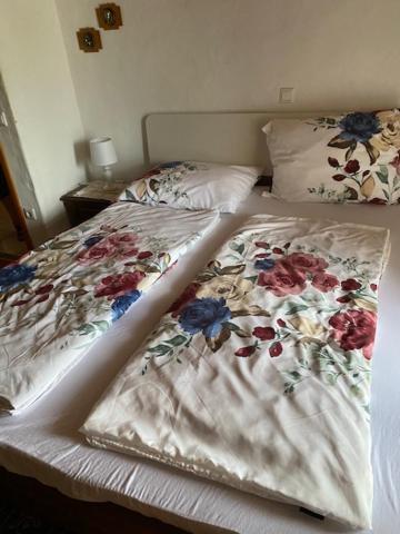 Apartma Jozica In Toncek Sveti Jurij ob Scavnici Εξωτερικό φωτογραφία